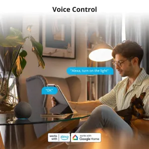 eWelink Smart WiFi Switch DIY Timer 1/2/4CH DC5V2V Intelligent Switch Braker Module APP Control Work with Alexa Google Assistant