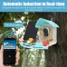 ZANLURSmart Solar Rechargeable Bird Feeder Camera 1080P HLive Stream Video Files Sharing Real-time Motion Detection Auto-capture ABirds Recognition IP65 Waterproof Wildlife Photography