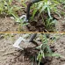 5/6/11 Tines Effortless Gardening Hand Weeder Tool Dual Purpose Manganese Steel Manual Weed Puller with Extended Handle Versatile Uprooting for Weed Removal Efficient Vegetable Planting Landscaping