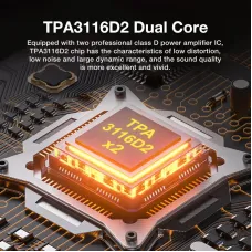 TPA3116D2 100W+100W bluetooth Amplifier Audio Digital Power Amplifier RGB Dual Channel Amp Built-in DSP Support RCA Coaxial Optical 6.5mm Microphone Karaoke Wireless Adapter