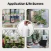 MoesHouse Tuya WiFi Watering Pump Timer Device Irrigation System Garden Tools Sprinkler Wired Design Auto Mode Manual App Control