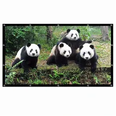 SALANGE Projector Screen 16:9 Portable Projection Screen 100/120/150 Inch Outdoor HD Movie Screen Foldable Cinema Screen for Travelling Home Theater