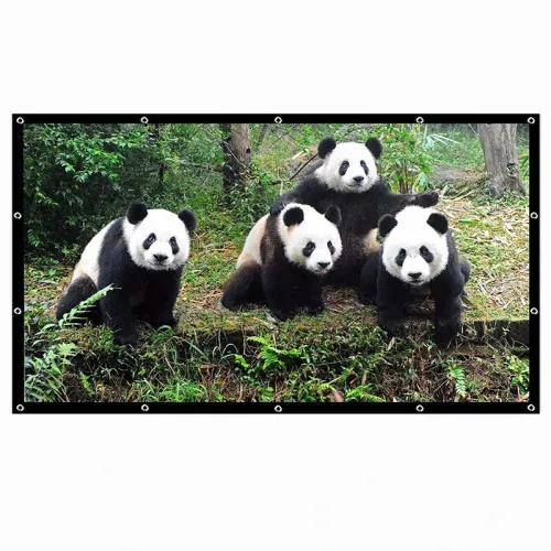 SALANGE Projector Screen 16:9 Portable Projection Screen 100/120/150 Inch Outdoor HD Movie Screen Foldable Cinema Screen for Travelling Home Theater