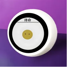 DeepSeek XiaoZhi AI Voice Chat Robot Ball ESP32-S3 1.28 inch LCD N16R8 Development Board Home Assistant Wifi Weather Clock