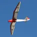 Tony Ray's Aero Model Minimoa 2025 2844mm Wingspan 1/6 Scale SD7032 Profile Balsa Wood RC Airplane Glider KIT