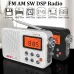 Portable AM FM SW Radio LCD Display DSP Technology 3W Speaker 60 Station Memory Alarm Clock Battery USB Powered
