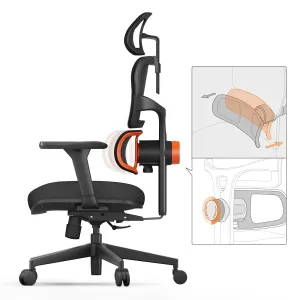 NEWTRAL NT001 Ergonomic Office Chair High Back Desk Chair Standard Version with Unique Adjustable Lumbar Support Adjustable Backrest and Seat Pan Depth Tilt Function Headrest 3D Armrests Computer Chair Black