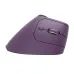 Vertical Ergonomics Wireless Mouse 2.4G/bluetooth 1000-2400DPI Type-C Rechargeable Silent Mice