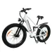 USA Direct BAOLUJIDP2615 48V 12AH 500W Top Speed 25KM/H 26*4.0inch Electric Bicycle 30-40KM Max Mileage 120KG Payload Electric Bike Recommended